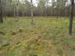 Pierwsze porozumienia z właścicielami gruntów na realizację działań ochronnych w obszarach Natura 2000 / RDOŚ w Białymstoku